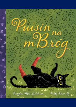 Puisín na mBróg